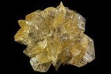 Twinned Selenite Crystals (Fluorescent) - Red River Floodway #77609-1